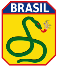 Formação de Equipes 6221-58