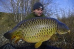 Carpunderground