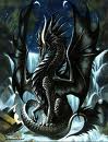 Dragon_noir