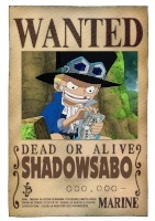 ShadowSabo