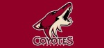 coyotes 23