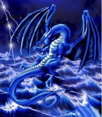 ~¤BlueDragon¤~