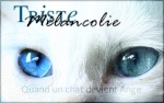 Triste Mélancolie ~ Blue