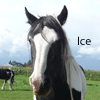 Ice