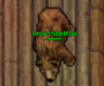 Druid Shelton