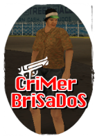 CriMer_BriSaDoS