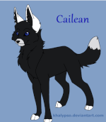 Cailean