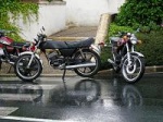 Yann-125-as3-rdx-yamaha