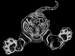 blacktiger