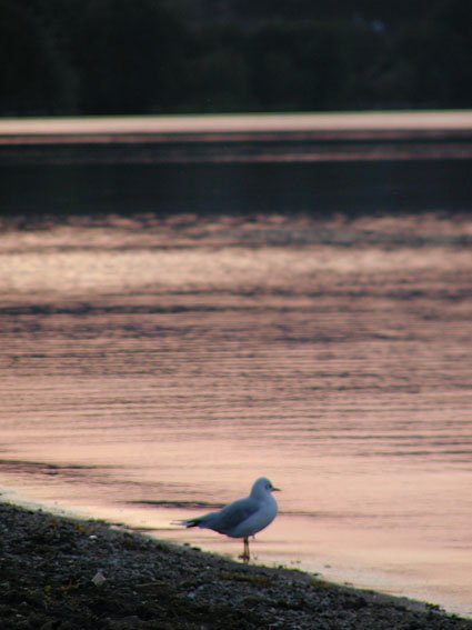 lago al tramonto