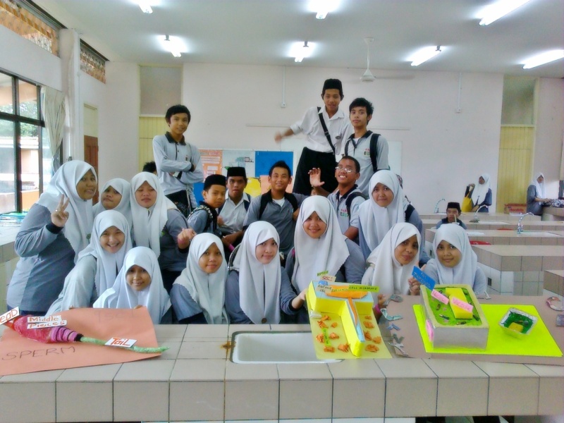 SMAS - 9sc1's students (2010)