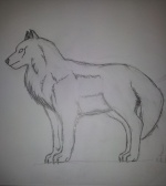 DireWolf