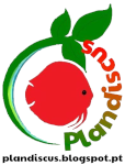 Plandiscus