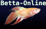 Betta-Online