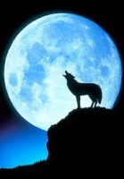 FullMoon