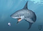 shark_2010