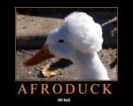 I Am Afroduck