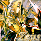 Zeus