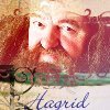 Professor Hagrid