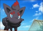 Zorua