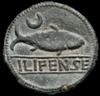 Monedas Ibéricas Ilipen10