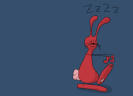 the rabbit