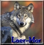 Laer-Mor