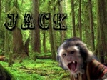 Jack le singe