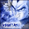 Vegeta9