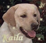 Kala