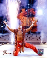 Shawn Michaels