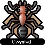 Gwynfyd