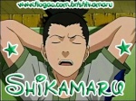 Shikamaru