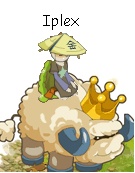 Iplex