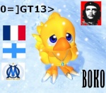 Boko13