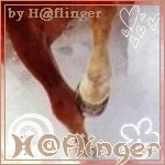 H@flinger