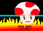 toad