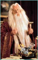 Albus Dumbledor