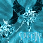 JustSpeedy