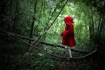 Little Red Riding Hood