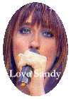 Love Sandy