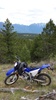 RockiesWR250R