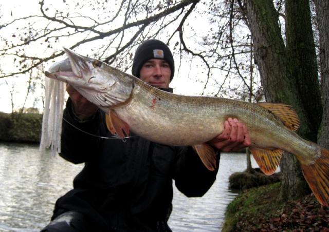 brochet au leurre