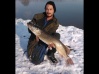 Brochet dans la neige