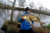 Big Zander