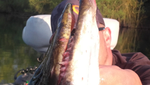 Vidéos et photos de pêche 3018-7