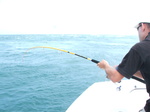Cannes à pêche 5433-48