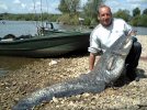 Techniques de peche des carnassiers 568-96