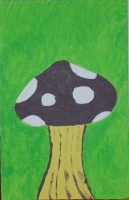 Mushroom