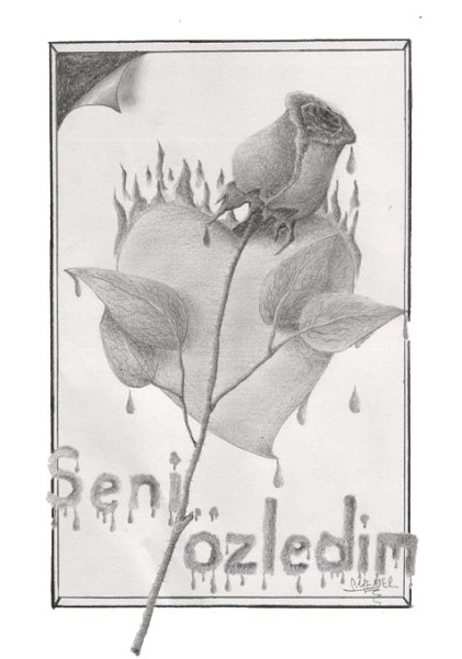 seni zledim..